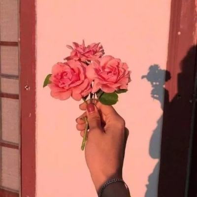 xs画质大师免费下载