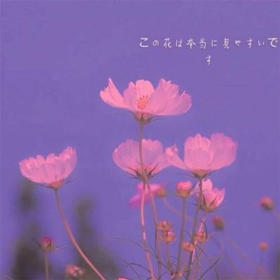 星之召唤士百度版下载